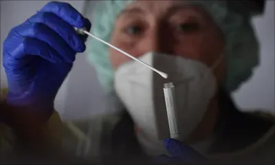 Coronavirus: jusqu'à six mois d'immunité après une infection