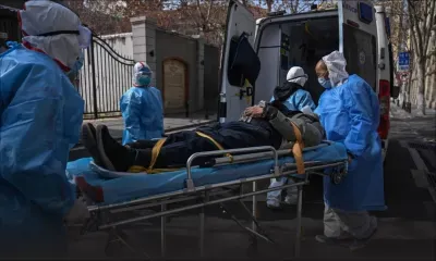 Virus : entre mythe et réalité