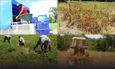 Coupures d’eau et manque de pluie - notre grenier est en panne sèche