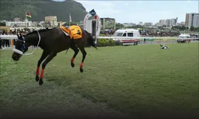 Hippisme – Training : Un seul journaliste autorisé, «impossible» pour la presse d’opérer