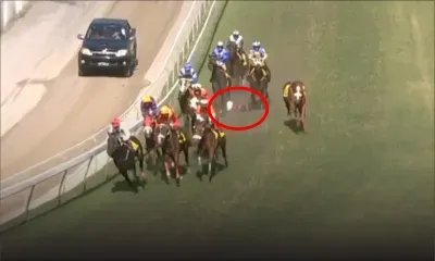 Le jockey Rai Joorawon transporté dans une clinique après une chute