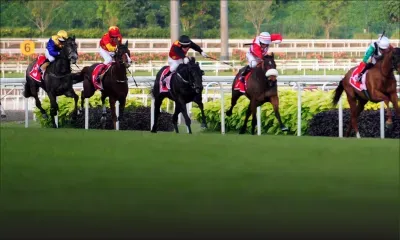 Singapour met fin à près de deux siècles de courses hippiques