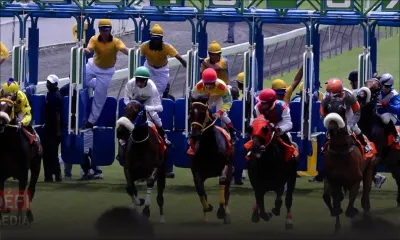 Hippisme : la saison 2021 s’ouvre le 20 mars