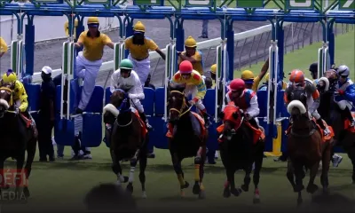 Horse Racing Authority : 75% de stakes money au lieu des 40% actuels, seront versés aux propriétaires de chevaux