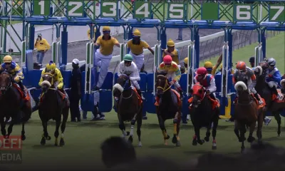 De nouveaux règlements pour les courses hippiques 