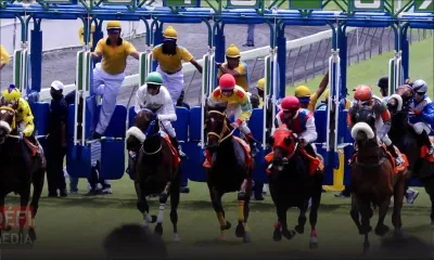 Organisation de courses hippiques : la MTCSL fait une demande de permis