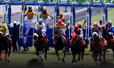 Hippisme : MTCSL sous administration volontaire  si elle n'obtient pas le bail du Champ-de-Mars