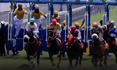 Hippisme : bientôt des firmes étrangères pour parrainer les courses 