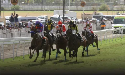 Hippisme – Fin de la saison 2024 le 6 octobre : conséquences désastreuses pour les stakeholders