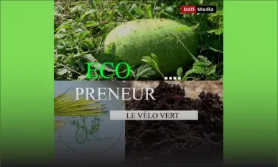 [Ecopreneur] Et si nous parlions de zéro pesticide dans nos assiettes...