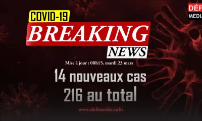Covid- 19 : 14 nouveaux cas détectés dans la soirée