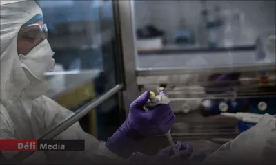 Covid-19 : 11 819 tests réalisés à ce jour à Maurice