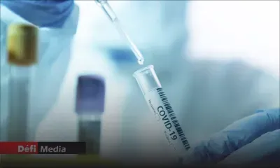 L'EMA annonce le lancement de l'examen accéléré de la pilule anti-Covid de Merck