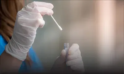 Covid : un autre virus et la génétique pourraient expliquer des différences immunitaires