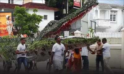 Maha Shivaratree : ce kanwar qui ne passe pas inaperçu 