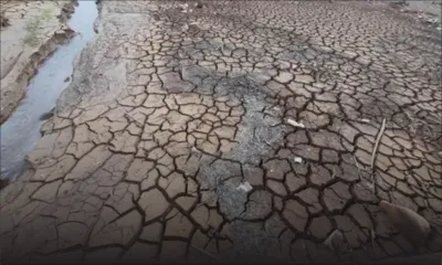Sunil Dowarkasing : «Les nappes phréatiques sont notre seul salut» 