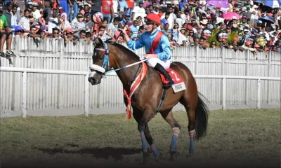 Hippisme : Fin de l'association Gujadhur - Stackhouse