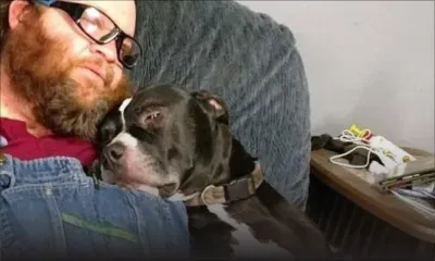 Un Américain blessé par balle par son chien