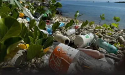 Mauritius Plastic Challenge : plus de 5 000 kilos de plastique récupérés dans la nature