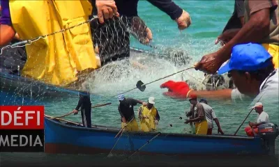 Rodrigues : la pêche à la senne ouverte