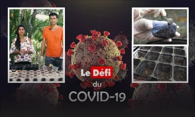 Le confinement peut être le moment propice pour produire soi-même des légumes