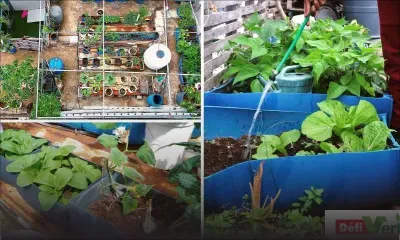 Le Défi Vert : concevoir un potager sur le toit