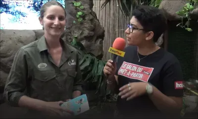 Salon du Prêt-à-Partir : découvrez les offres promotionnelles au stand de Casela