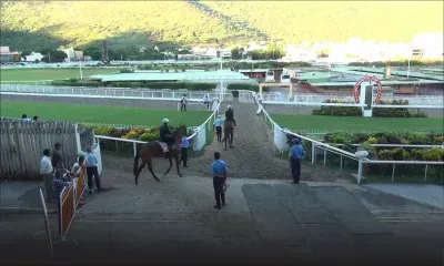 Duchesse 2018 : présentation des chevaux
