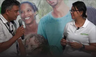 Les bienfaits du moringa (brède mouroum) à découvrir 