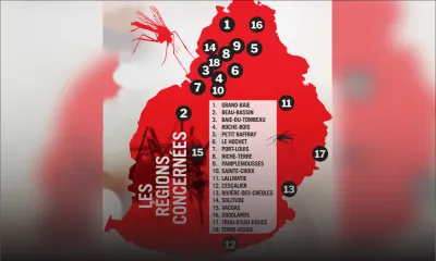 Dengue : 18 endroits détectés mais Port-Louis sous étroite surveillance 