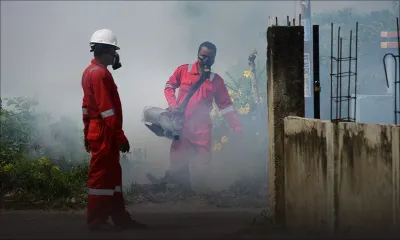 Santé publique - Dengue : Maurice classé en alerte de niveau 1 par les États-Unis