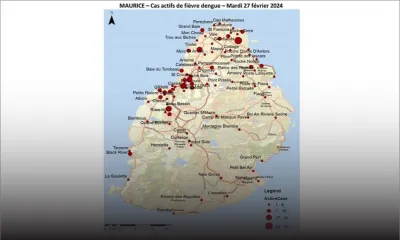 Épidémie : la dengue évolue vers le Nord