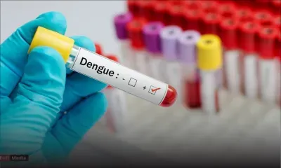 Dengue : Maurice compte 11 cas actifs