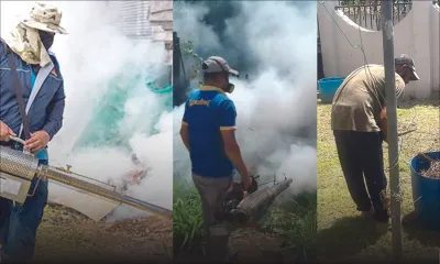 Opportunités d’affaires : la dengue prolifère, la demande pour des fumigations aussi 