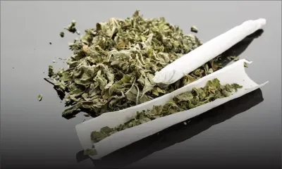 En milieu scolaire : deux collégiens arrêtés pour possession de cannabis 