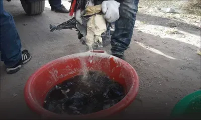 La Direction des douanes malgache a incinéré les 140 kilos de drogue saisis