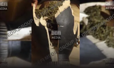 Aéroport : un djembé bourré de gandia en possession d’un habitant de Beau-Bassin