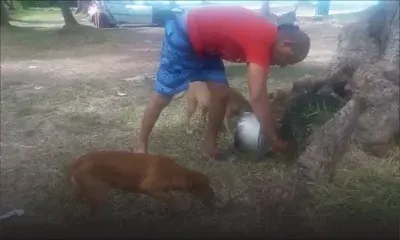 Cap-Malheureux : rencontre avec Ivan qui s'arrange pour que les chiens errants aient de quoi à manger