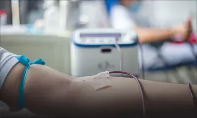 Les homosexuels autorisés à faire don de leur sang