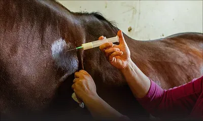 Le dopage, un mal incurable