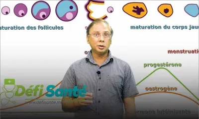 Cycles menstruels : quand faut-il s'inquiéter ?