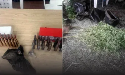 Dans une chasse à Grand-Bassin : saisie de drogue et de munitions