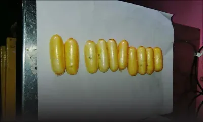 A l’aéroport de Plaisance : saisie de 1,8 kg d’héroïne 