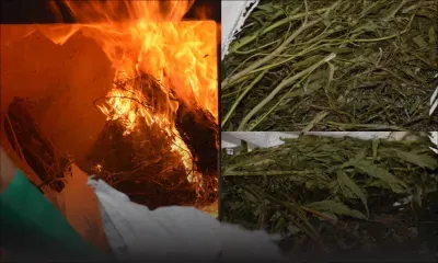 Casernes centrales : Rs 24,8 millions de drogues partent en fumée