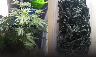 Saisie de cannabis : un agent de sécurité de l’aéroport épinglé