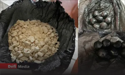 De 2015 à ce jour : Une valeur de Rs 13,7 milliards de drogue saisie