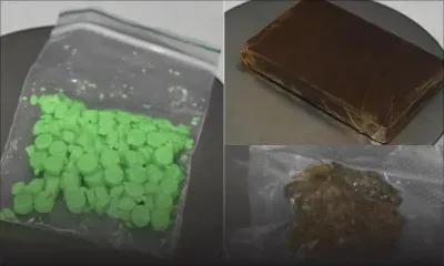 Poste centrale : saisie de Rs 900 000 de drogues grâce au chien renifleur Otto