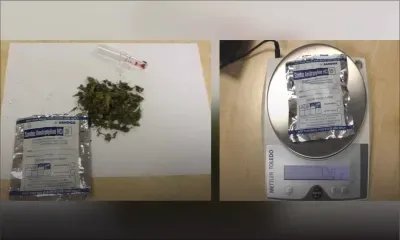 Plaisance : un ingénieur sud-africain arrêté avec 7 grammes de cannabis 