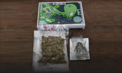 Poste centrale : du cannabis caché dans un jeu de puzzle saisi