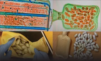 Saisie de Rs 15 millions d’héroïne : une femme d’affaires zambienne arrêtée